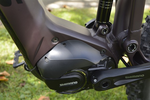 Shimano